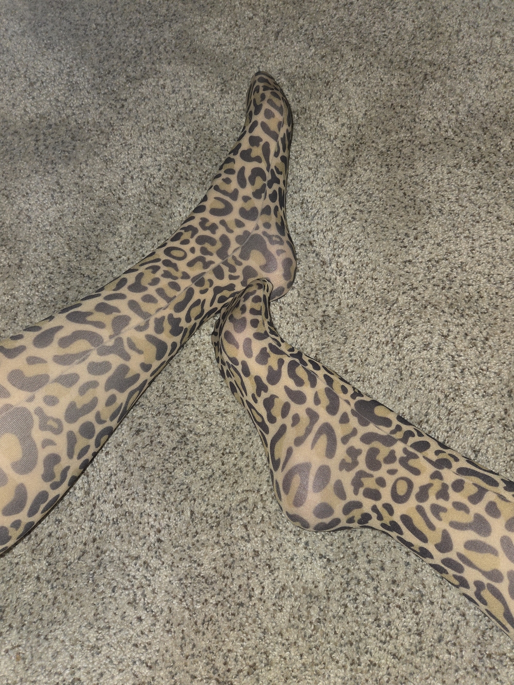 Women's Leopard Print Sheer Nylon Socks - Pantyhose Socks